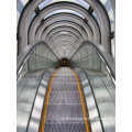 Aksen Escalator Slim Type Aluminium Step Indoor & Outer Type